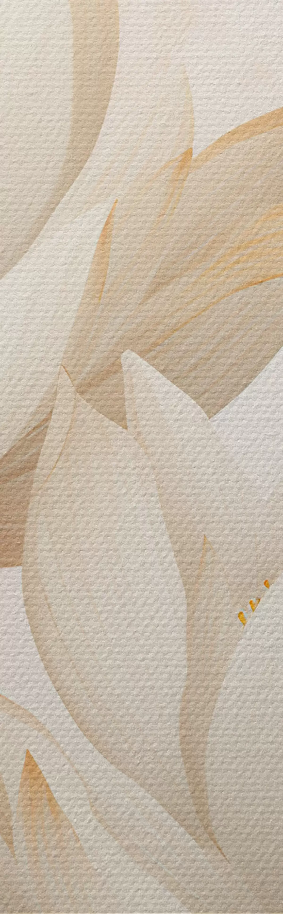 Картина Прекрасні квіти лотоса m00861