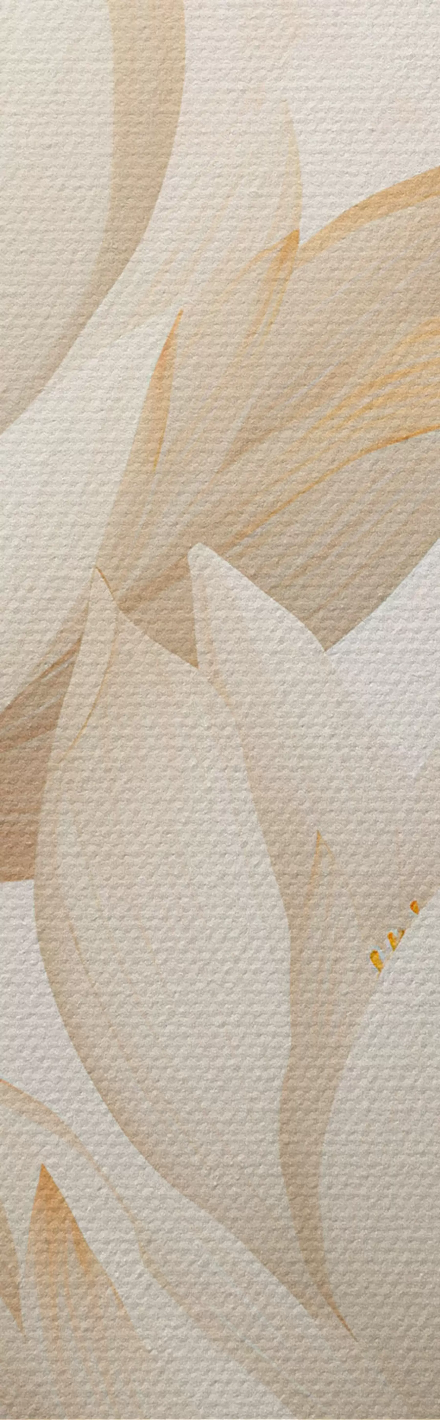 Картина Прекрасні квіти лотоса m00861