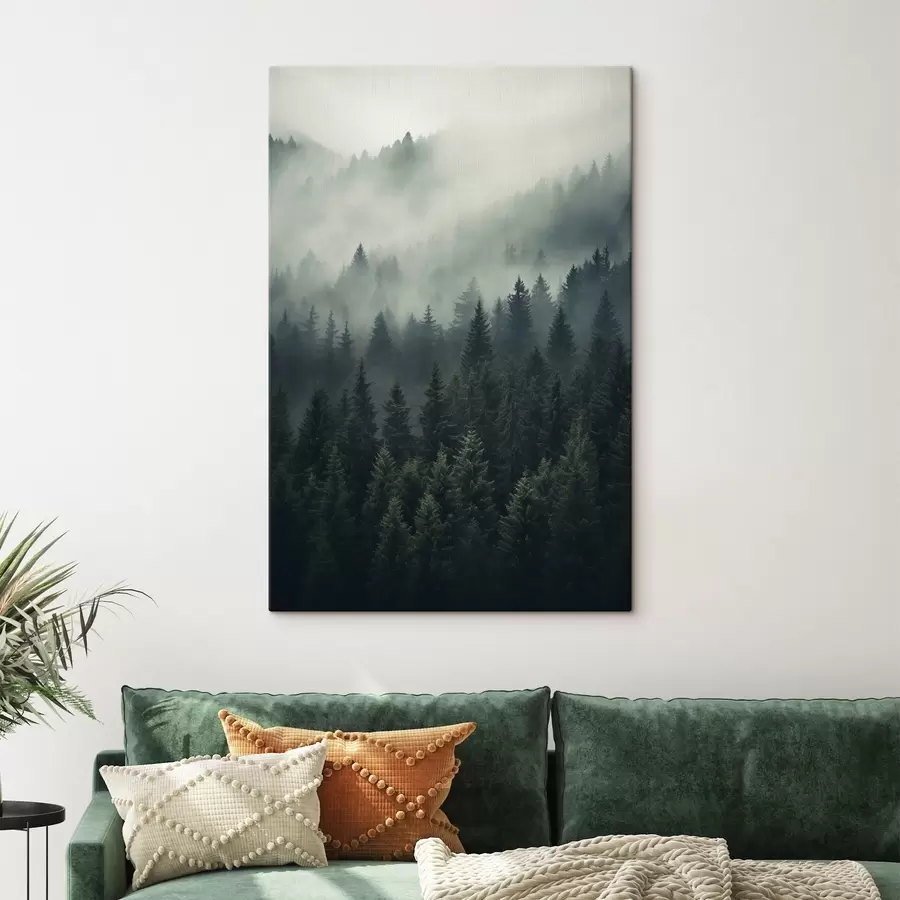 Картина Туман, що котиться над густим вічнозеленим лісом s46512