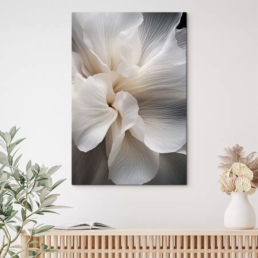 Картина Крупний план ніжних абстрактних білих квіткових пелюсток зі складними лініями та розмитим темним фоном s47018