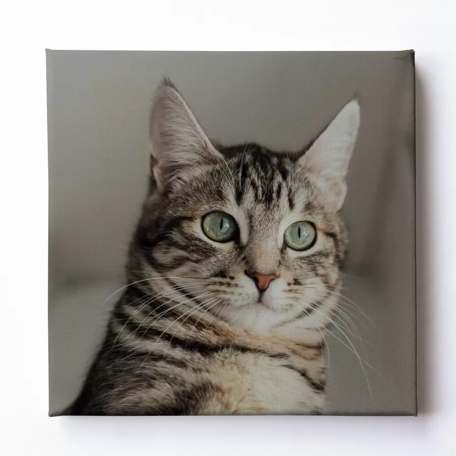 Картина Романтичний подарунок для пари на основі фотографії s47204